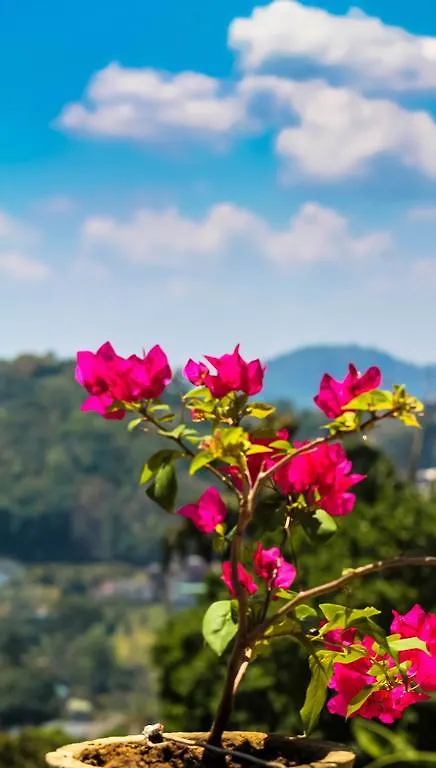 Homestay Mountain View Apartment Kandy Sri Lanka
