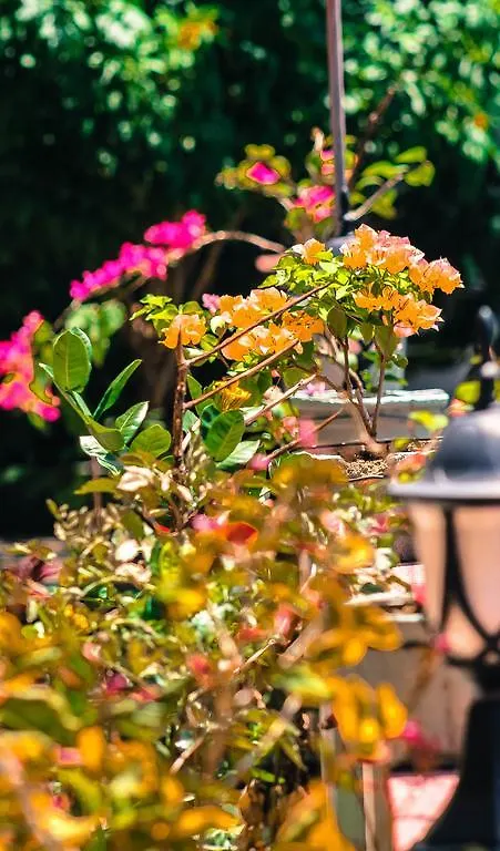 Mountain View Apartment Kandy Homestay